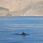 The Santa Maria Full Day Island Cruise In Aegean Sea Overview Of The Cruise