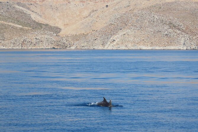 The Santa Maria Full-Day Island Cruise in Aegean Sea - Overview of the Cruise