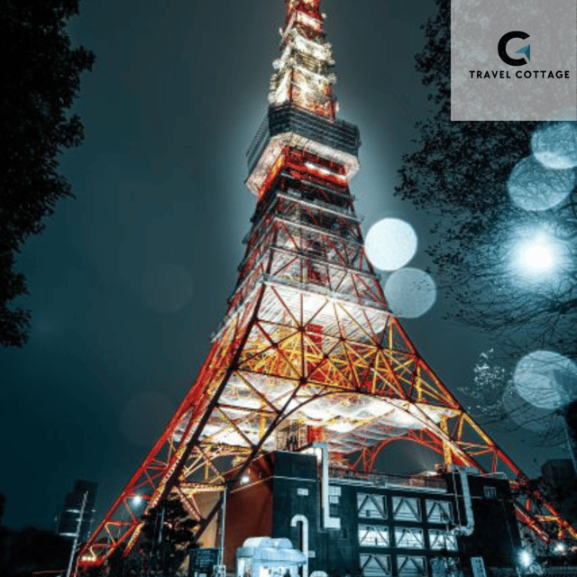 Tokyo Customize Private City Tour By English Speaking Driver - Tour Overview and Pricing