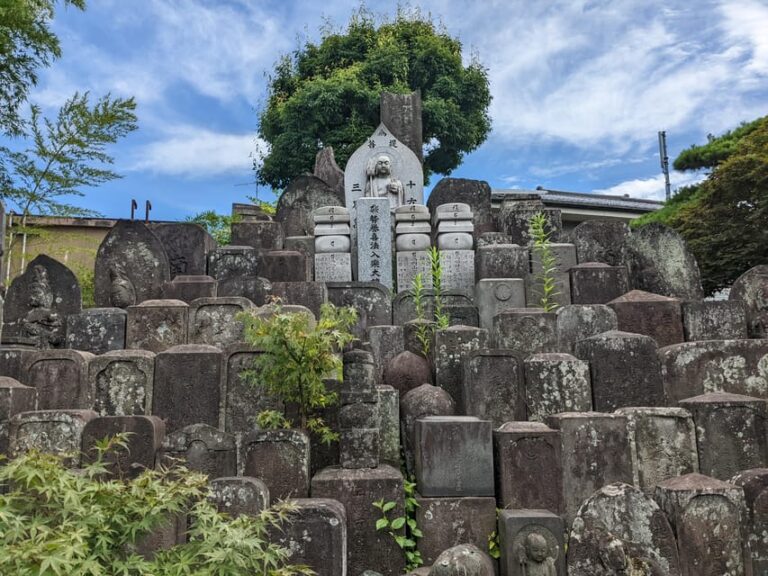 Tokyo: Hidden Temples Tour Review Tour Overview