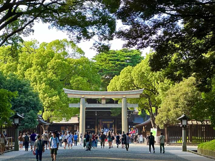 Tokyo: Meiji Jingu Shrine Historical Walking Tour - Tour Overview