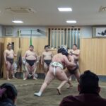 Tokyo: Morning Sumo Practice Viewing Activity Overview