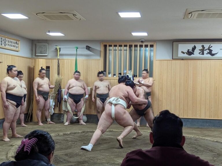 Tokyo: Morning Sumo Practice Viewing Activity Overview