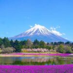 Tokyo: Mount Fuji Or Hakone Customized Private Full Day Trip Trip Overview