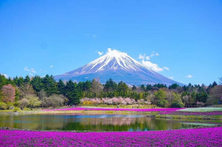 Tokyo: Mount Fuji Or Hakone Customized Private Full Day Trip Trip Overview