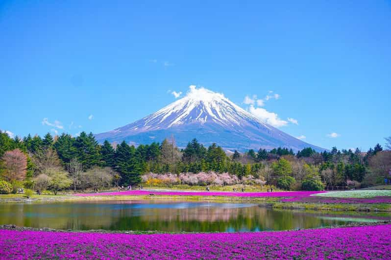 Tokyo: Mount Fuji or Hakone Customized Private Full-Day Trip - Trip Overview