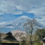 Tokyo: Mt Fuji And Hakone Full Day Private Tour Tour Overview And Pricing