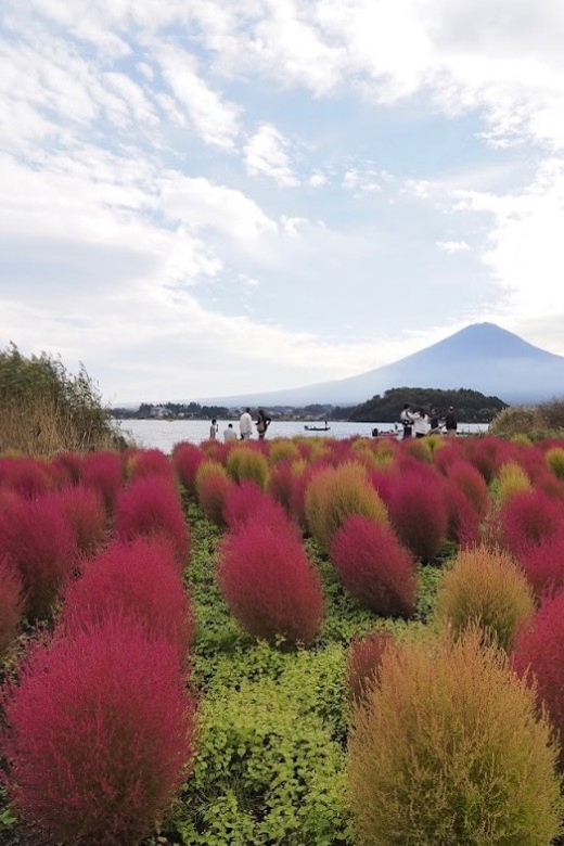 Tokyo: Mt. Fuji Private Day Trip With Hotel Pickup - Cancellation and Refunds