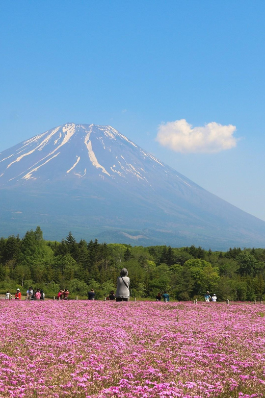 Tokyo: Mt.Fuji Private Tour With Pick & Drop Service - Tour Overview and Pricing