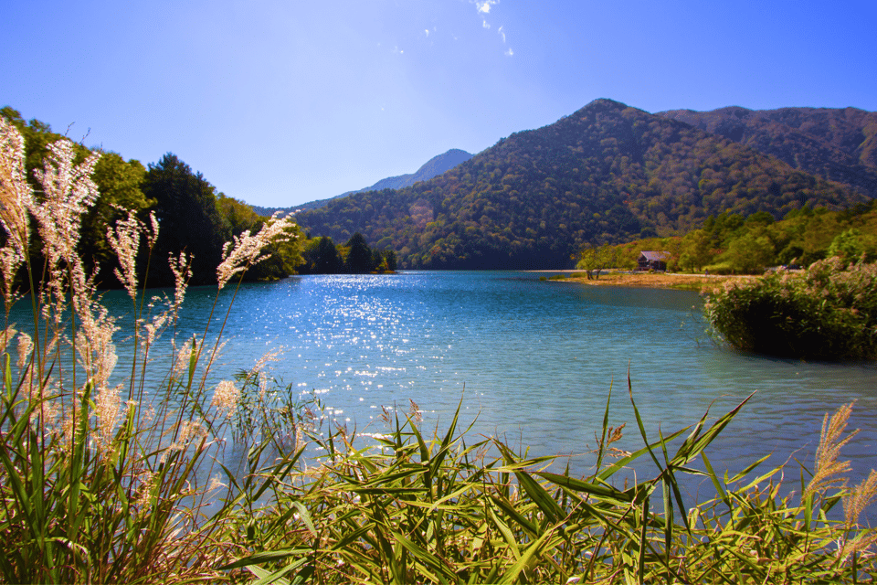 Tokyo: Nikko Highlights Tour With Temples, Waterfalls & Lake - Cultural and Natural Attractions