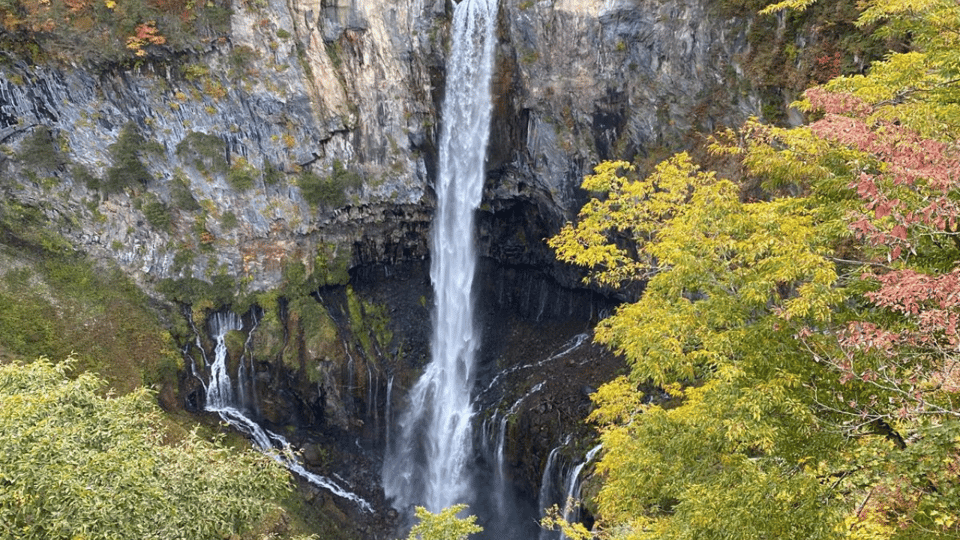 Tokyo: Nikko World Heritage Private Tour By English Guide - Cultural Experience and Customization