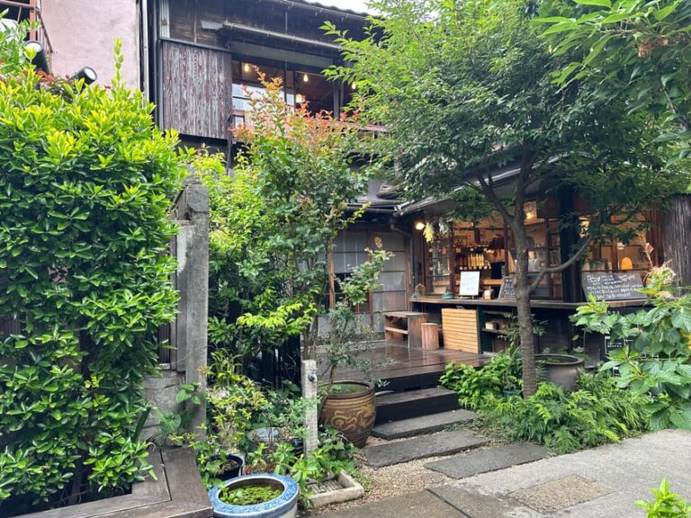 Tokyo : Old Town~yanaka,nezu~~paint Your Own "lucky Cat" Tour Overview And Pricing