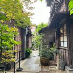 Tokyo Old Traditional Town~yanaka , Nezu & Ueno Sakuragi Tour Overview