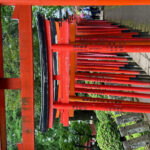 Tokyo Private Customized Tour : Old Traditional Town~yanaka Tour Experience