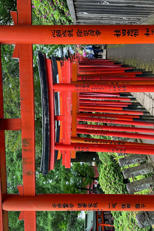 Tokyo Private Customized Tour : Old Traditional Town~yanaka Tour Experience