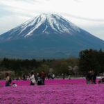 Tokyo: Private Mount Fuji Tour With Pickup And Drop Off Tour Overview