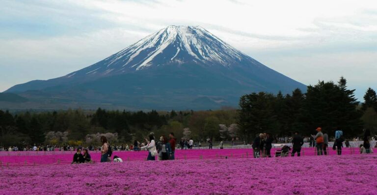 Tokyo: Private Mount Fuji Tour With Pickup And Drop Off Tour Overview