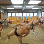 Tokyo: Sumo Morning Practice Tour In Ryogoku Tour Overview