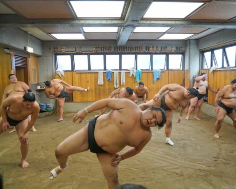 Tokyo: Sumo Morning Practice Tour In Ryogoku Tour Overview