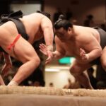 Tokyo Sumo Wrestling Tournament Review Overview And Pricing