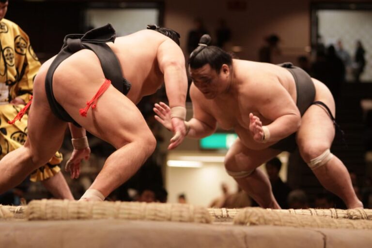 Tokyo Sumo Wrestling Tournament Review Overview And Pricing