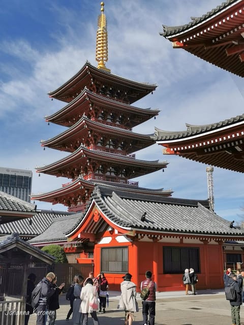 Tokyo Tour (must Seeing Places In Tokyo) Tour Overview And Pricing