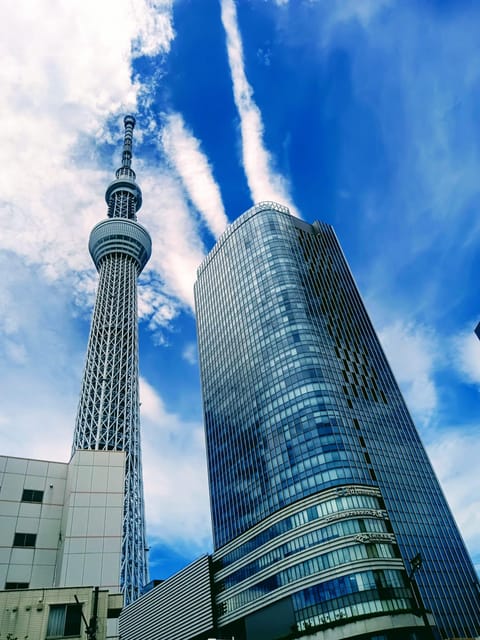 Tokyo Tour One Day Private Tour by Car With English Driver - Tour Overview and Pricing