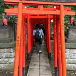 Tokyo Tour Review: Tradition Meets Luxury Tour Overview