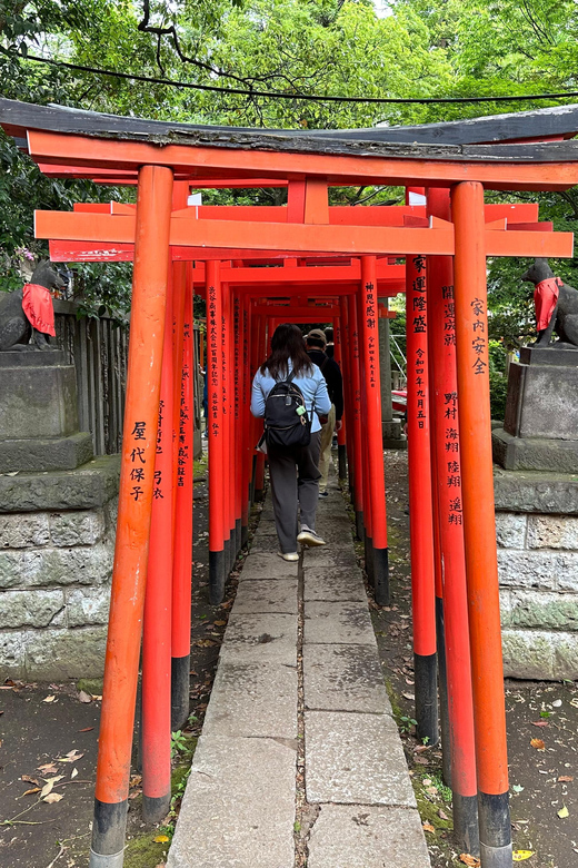 Tokyo Tour Review: Tradition Meets Luxury - Tour Overview