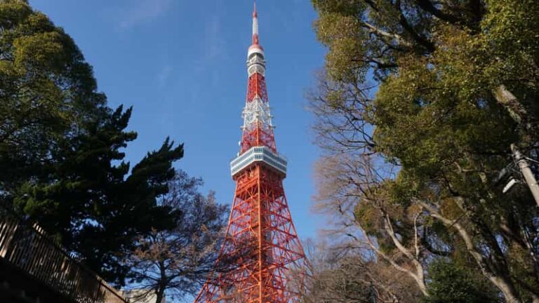 Top 3 Hidden Tokyo Tower Photo Spots And Local Shrine Tour Tour Overview