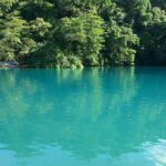 Tour To Fern Gully And Konoko Falls And Park Tour Details