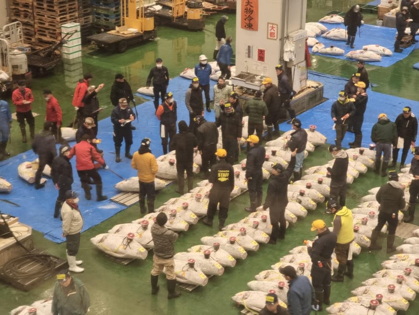 Toyosu Fish Market Tour Review - Overview of the Tour