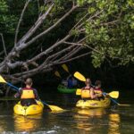 Trio Tour: El Yunque, Luquillo Beach, And Bio Bay Night Kayaking Inclusions