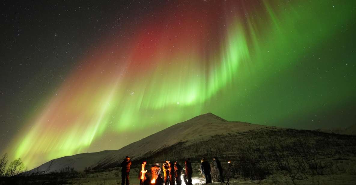 Tromsø: Northern Lights Tour With Free Professional Portrait - Tour Details