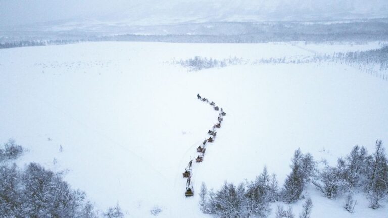 Tromsø: Sámi Reindeer Sledding And Sami Cultural Tour Tour Details