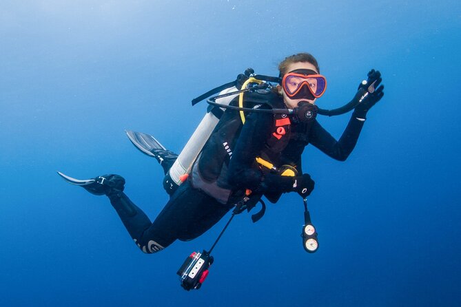 Two Dives for Certified Divers and Snorkeling in Fujairah - Overview