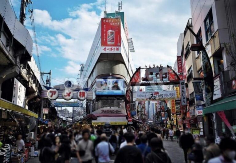 Ueno And Yanaka Day Walking Tour Review Tour Overview And Pricing