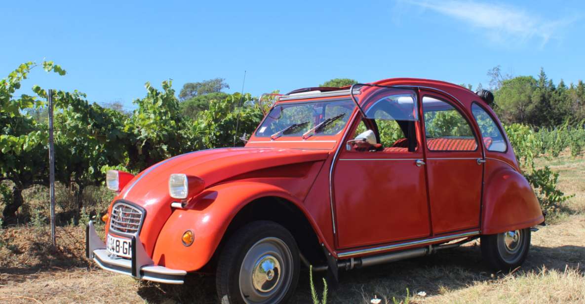 Vintage Wine Tour in Saint-Tropez - Tour Details