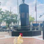 Vip Walking Tour Of Little Havana Tour Overview