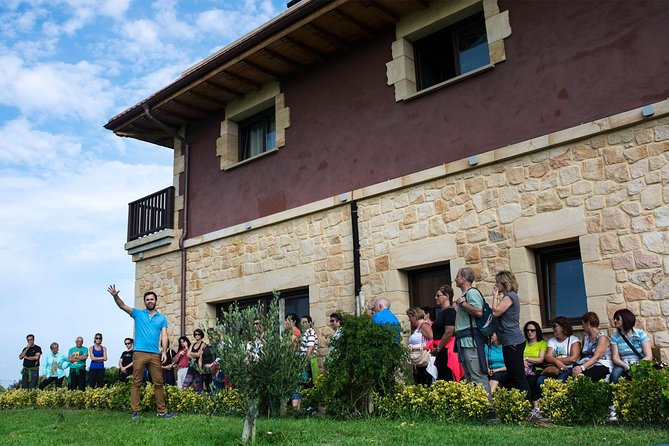 Visit And Private Tasting At The Txakolí Gaintza Winery Overview And Experience