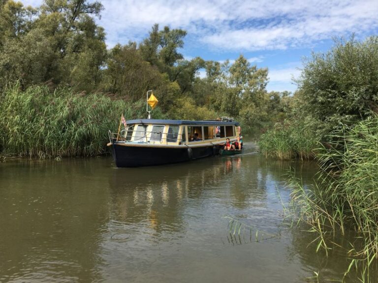 Werkendam: Boat Cruise And Biesbosch Museum Entry Ticket Overview Of The Experience