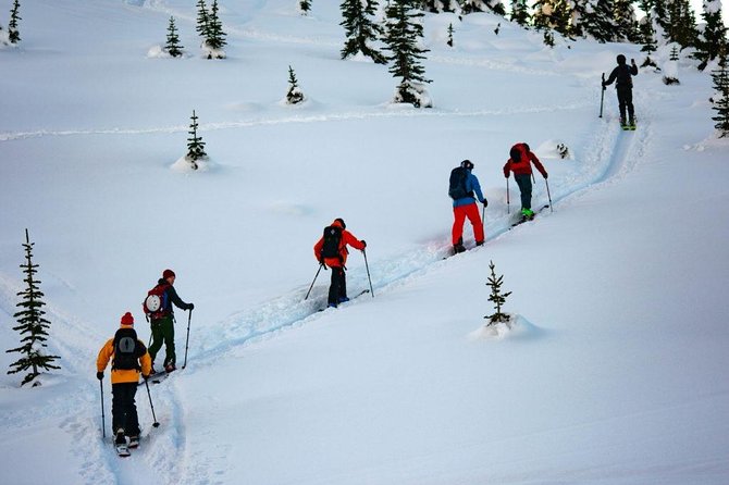 Whistler Backcountry Skiing and Splitboarding - Overview of the Experience