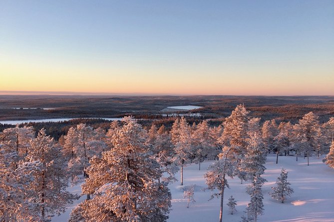 Wilderness Survival Tour - Winter - Exploring the Arctic Landscape