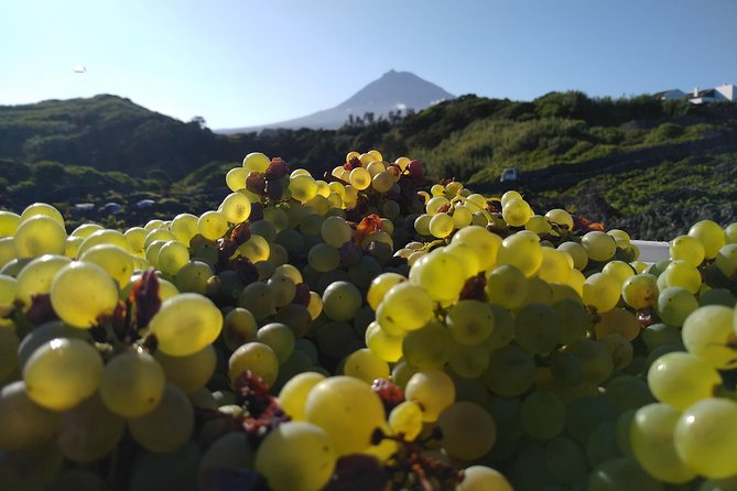 Wine Tour - Meeting Point and Location