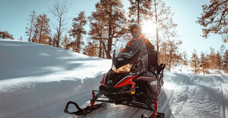 Ylläs: Wilderness Snowmobile Tour About The Activity