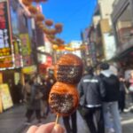 Yokohama Chinatown Eat And Walking Tour Tour Overview