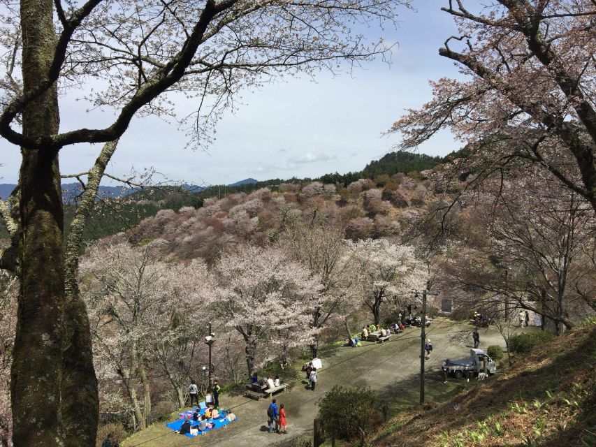 Yoshino: Private Guided Tour & Hiking in a Japanese Mountain - Itinerary Highlights