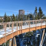 Zakopane: Bachledka Treetop Walk And Strbske Pleso Tour Tour Overview