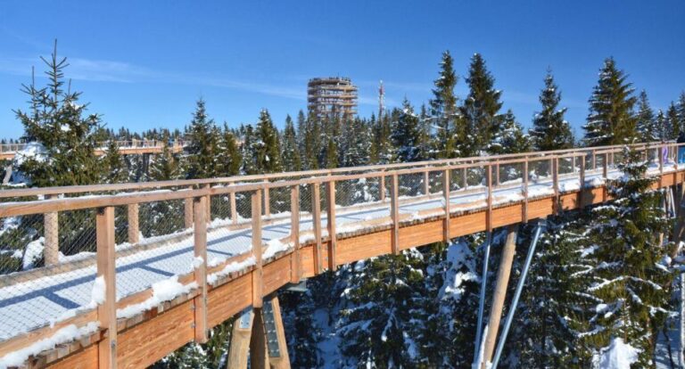 Zakopane: Bachledka Treetop Walk And Strbske Pleso Tour Tour Overview