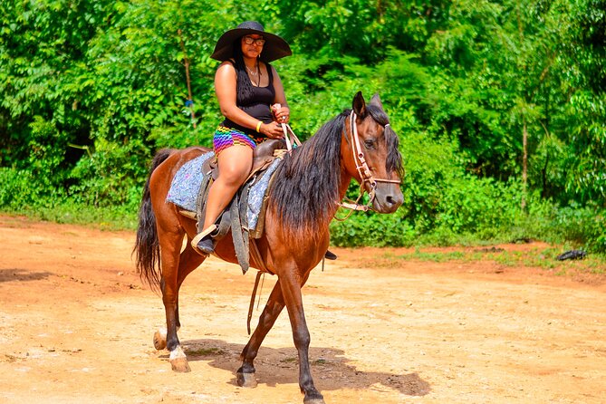 2-Hour Beach Horseback Riding in Punta Cana + Gift SIM Card - Whats Included in the Tour